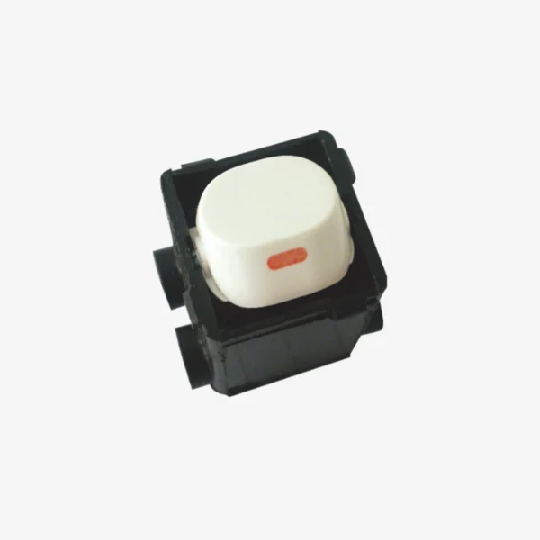 Double pole Mechanism 10Amp