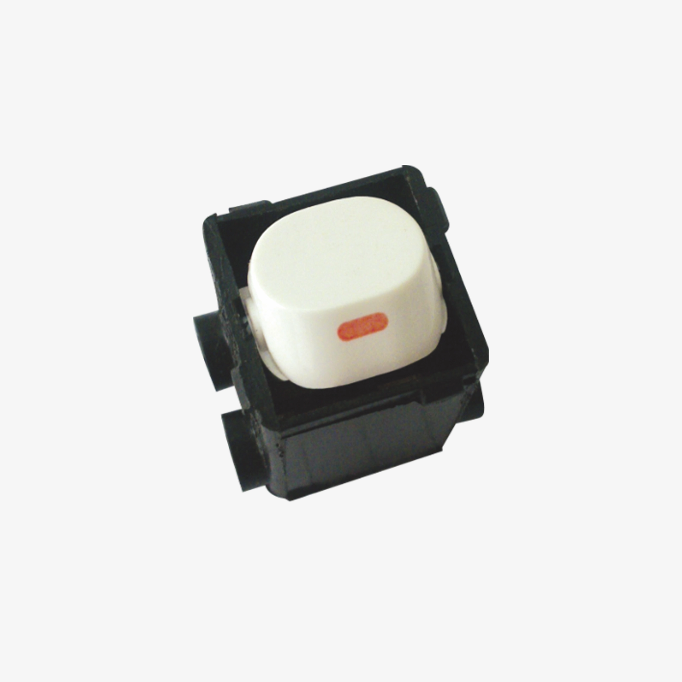 Double pole Mechanism 10Amp